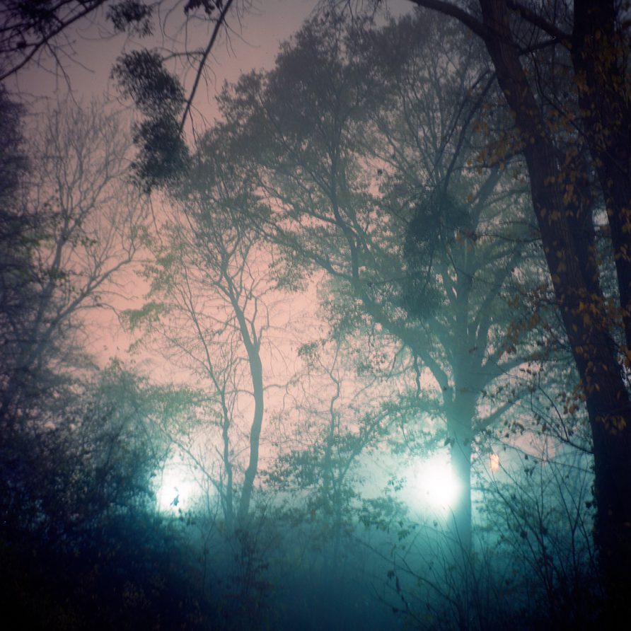 Deux lumières bleues dans la nuit, derrière des arbres, évoquent de grands yeux.