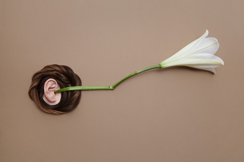 illustration de l'ouïe