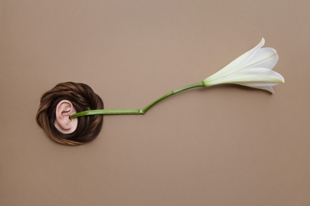 illustration de l'ouïe