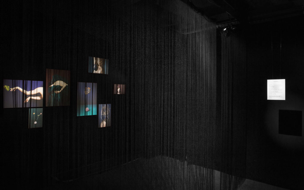 poissons-volants-photos-benjamin-girard-60-ret