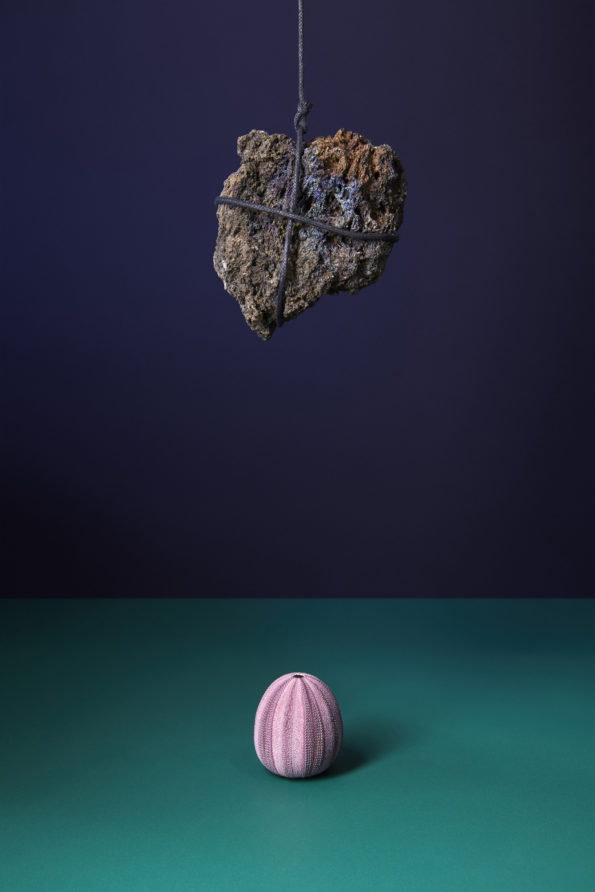 Une roche de lave suspendue au dessus d'une coquille d'oursin. La menace de la brisure. Le jeu de la fragilité.